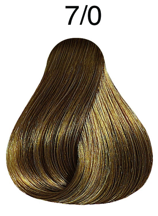 Fő kép